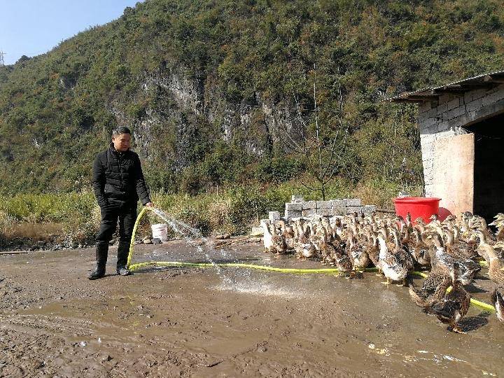 崇信縣姚家溝會拆遷嗎？解讀背后的因素與可能性，崇信縣姚家溝拆遷可能性解讀，背后的因素與探討