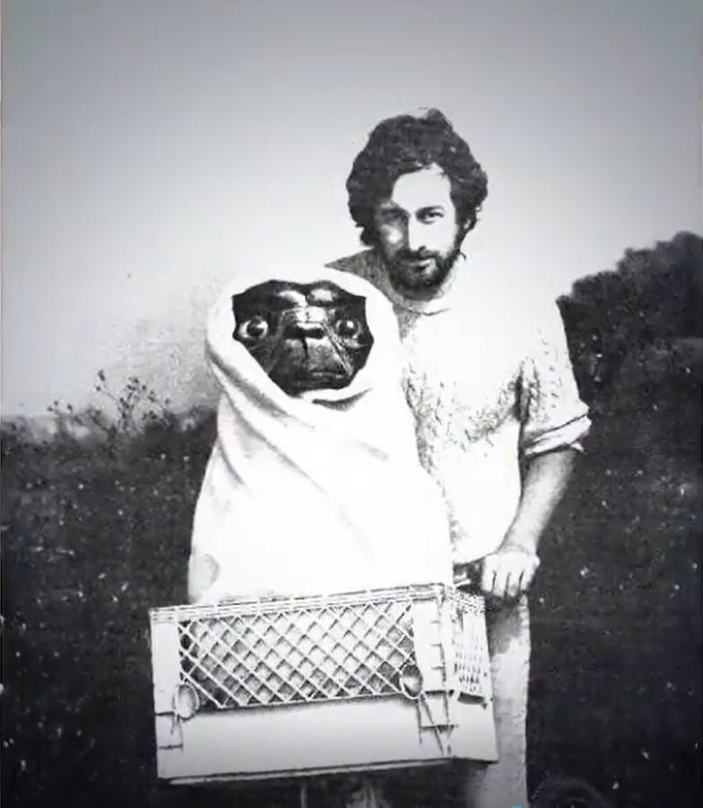 澳門網(wǎng)站中的寶藏，探索600圖庫的魅力，澳門網(wǎng)站探秘，600圖庫的寶藏魅力