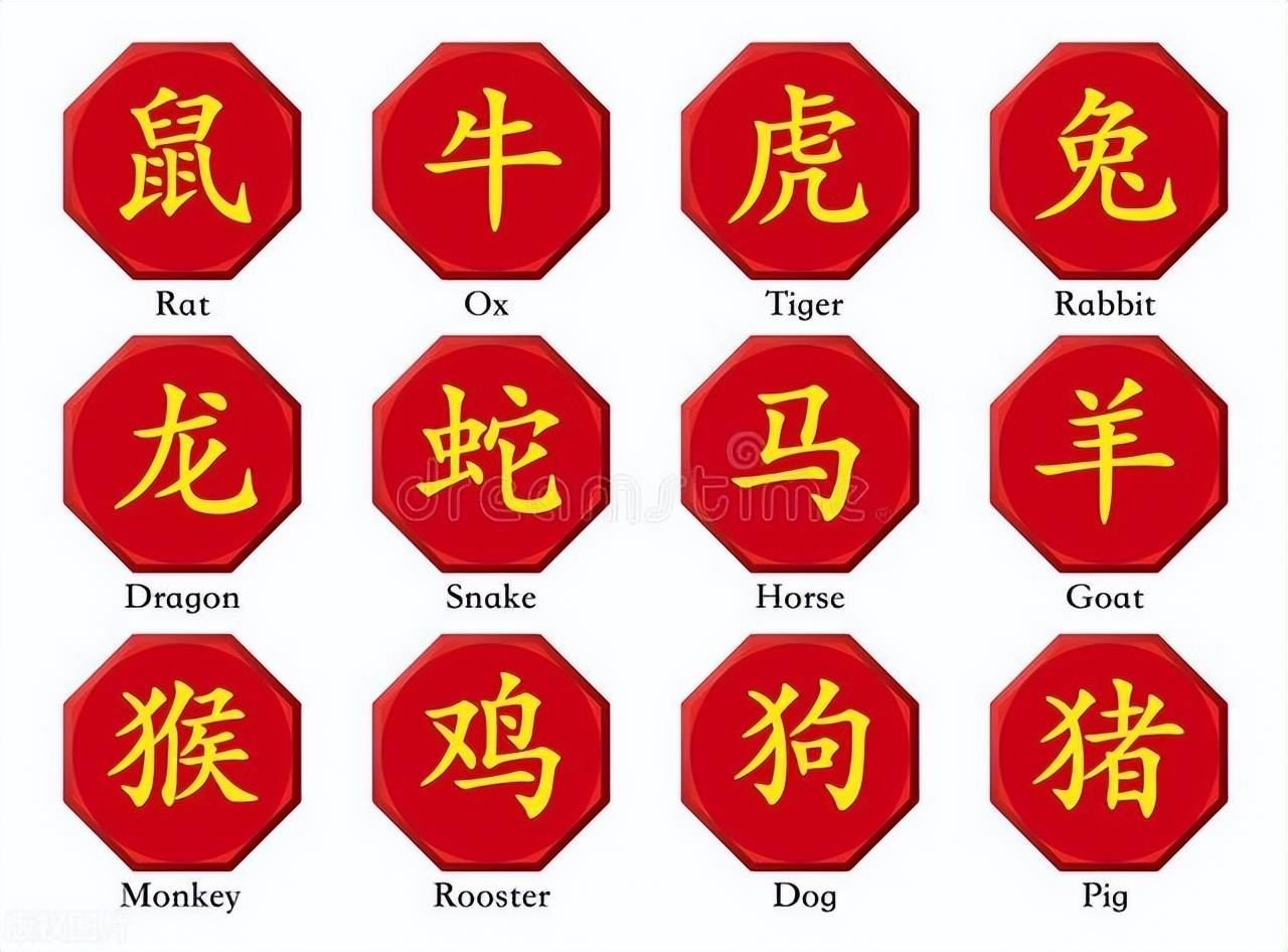 新澳特碼，羊?；⒏鲾?shù)10——揭秘背后的數(shù)字奧秘，揭秘新澳特碼數(shù)字奧秘，羊?；⒏鲾?shù)背后的秘密