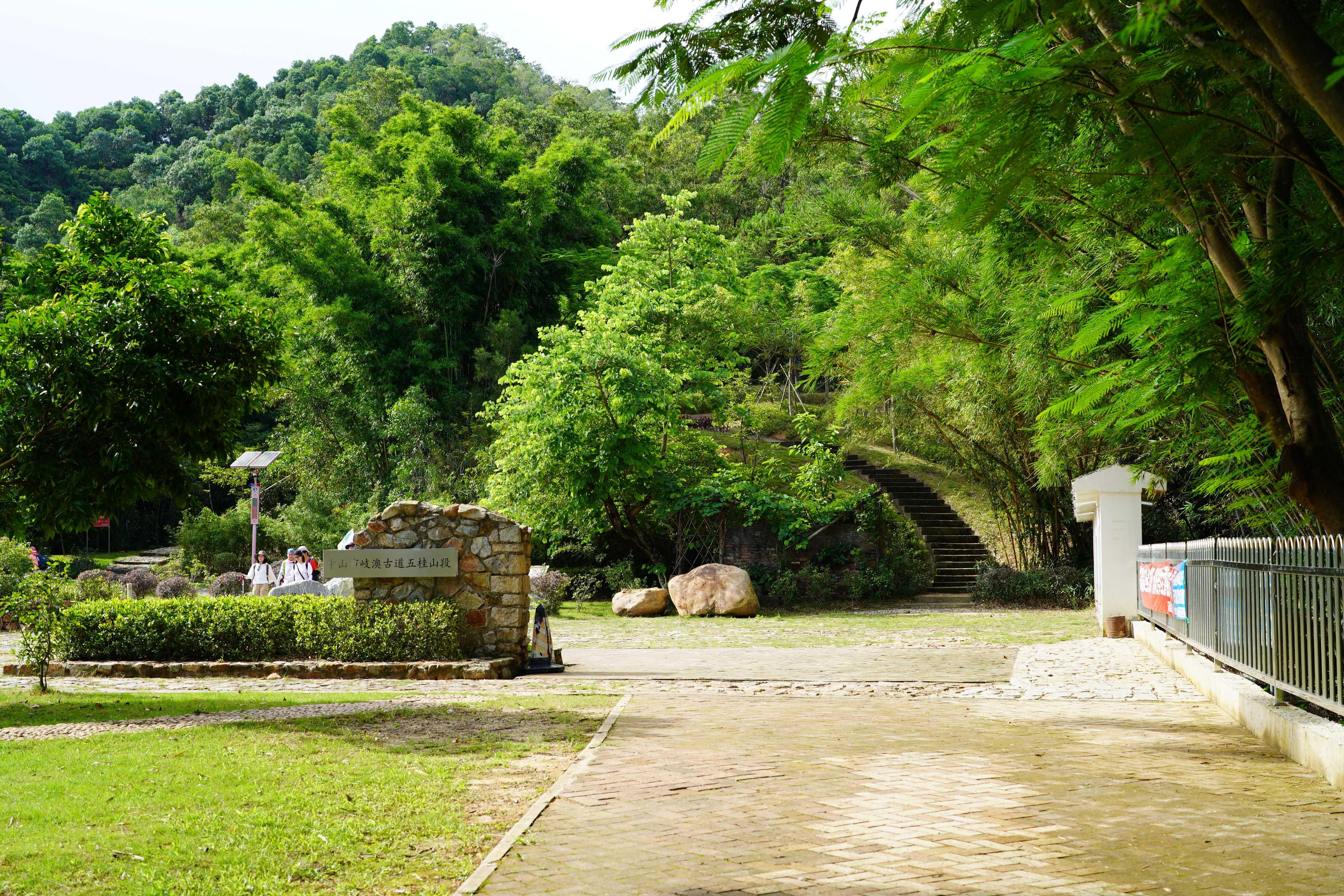 新澳門彩生肖走勢(shì)圖，探索與解讀彩票背后的秘密，探索解讀新澳門彩生肖走勢(shì)圖，彩票背后的秘密揭秘