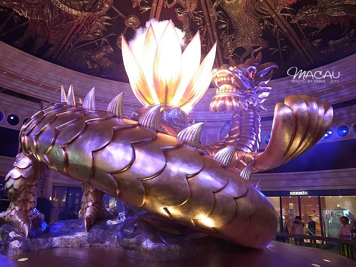 澳門無錯七尾，探索與解析，澳門無錯七尾，深度探索與解析