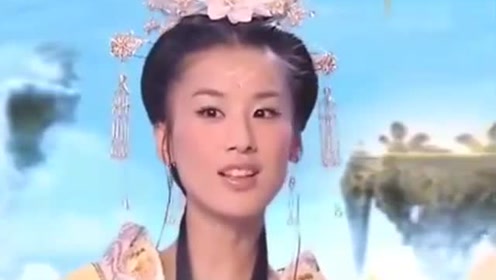 曾道道人資料免費(fèi)大全，深度探索與解析，曾道道人資料深度解析與免費(fèi)大全探索