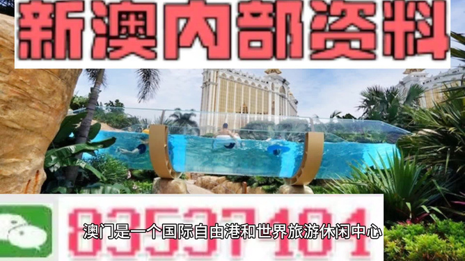 新澳的資料去哪里找——全面指南，新澳資料全攻略，尋找資料的途徑與指南