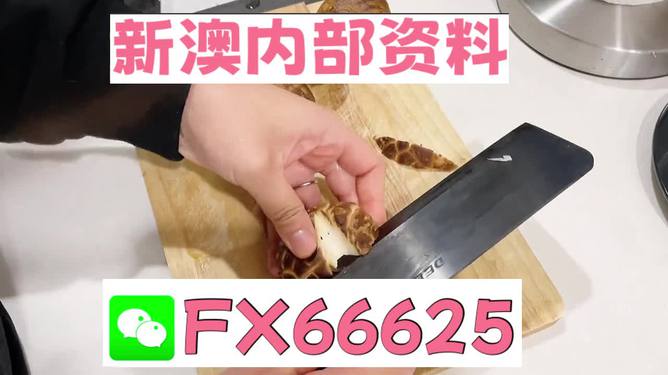 澳門九點(diǎn)半9點(diǎn)半網(wǎng)站——探索其魅力與優(yōu)勢，澳門九點(diǎn)半網(wǎng)站，魅力與優(yōu)勢探索