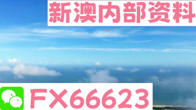 新澳106期資料詳解與SEO優(yōu)化策略，新澳106期資料詳解與SEO策略優(yōu)化指南