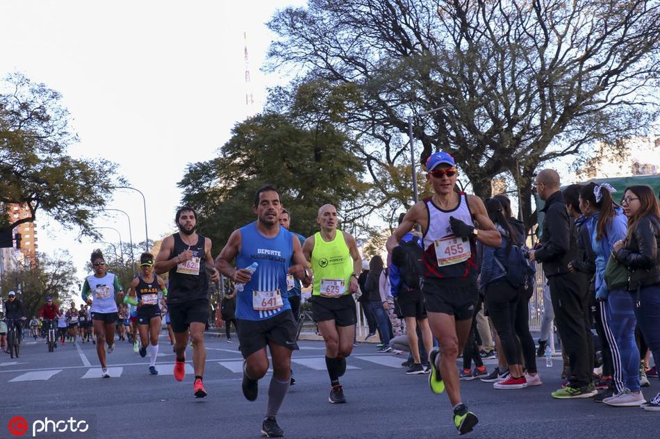 揭秘劉伯溫平特一肖王的傳奇故事與SEO優(yōu)化策略，劉伯溫平特一肖王傳奇故事與SEO優(yōu)化策略揭秘