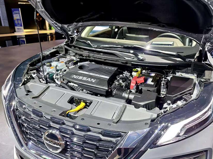 王中王四肖期期準(zhǔn)一期，揭秘預(yù)測背后的秘密與策略，揭秘王中王四肖預(yù)測背后的秘密與策略，每期準(zhǔn)確預(yù)測的背后真相