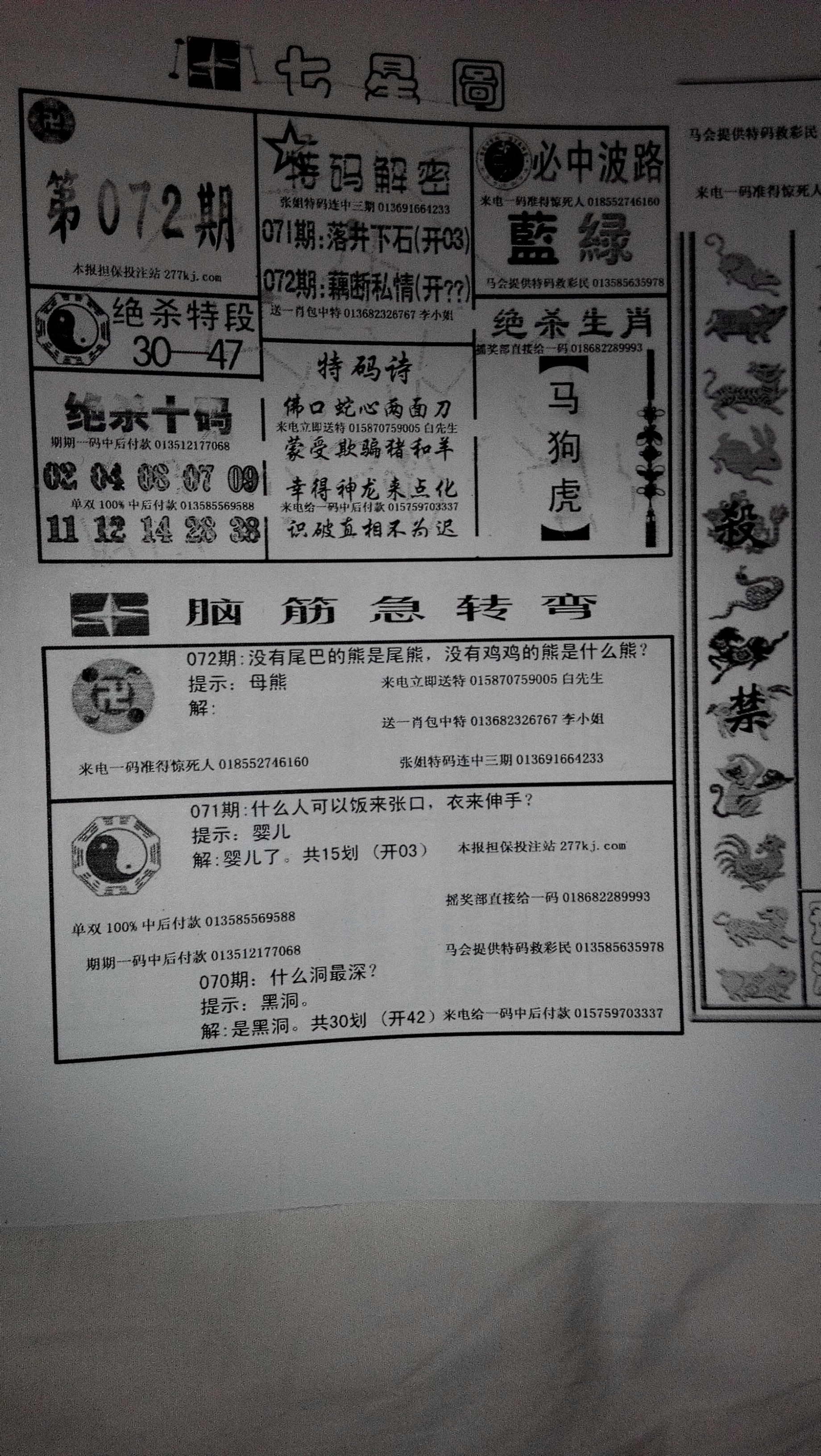 王中王251期指一生肖，深度解讀與SEO優(yōu)化策略，王中王251期生肖解讀與SEO優(yōu)化策略深度探討