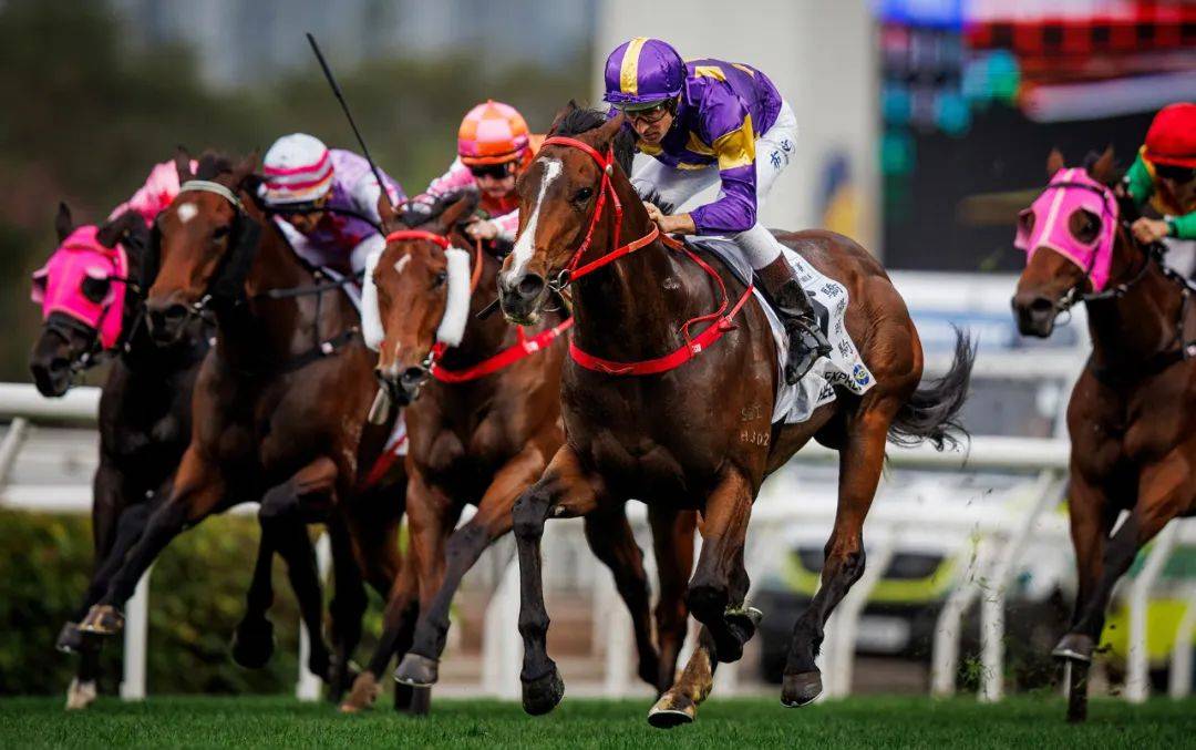 香港賽馬，探索賽馬運(yùn)動的激情與榮耀之地——7777788888的獨(dú)特魅力，香港賽馬，激情與榮耀的獨(dú)特魅力探索——777778賽馬運(yùn)動之地