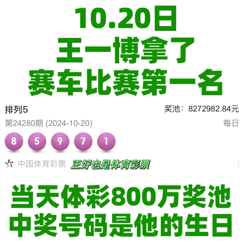 王中王一肖資料中特馬——深度解析與SEO洞察，王中王一肖特馬深度解析與SEO洞察揭秘