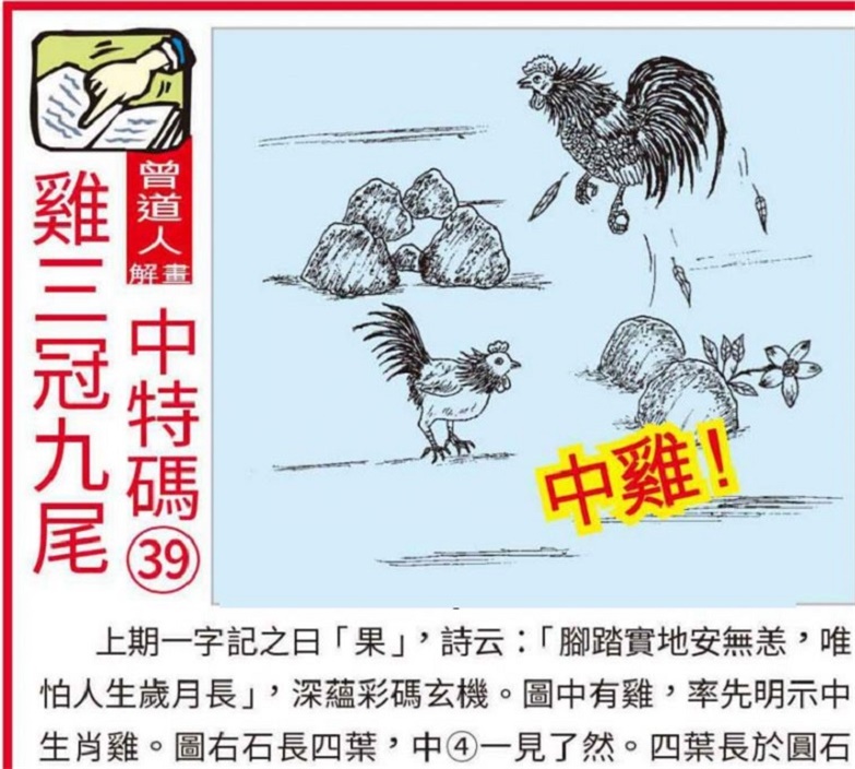 澳門2025全年資料大全正版資料權(quán)威指南，澳門2025全年正版權(quán)威指南，全面資料大全與權(quán)威解讀