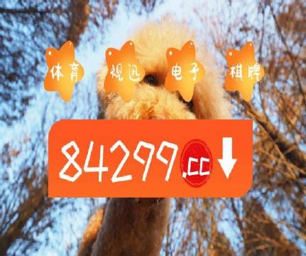 澳門天天六開彩正版澳門，探索彩票世界的魅力與奧秘，澳門天天六開彩正版探索彩票世界的魅力與奧秘之旅