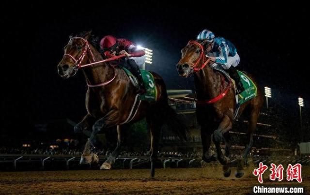 香港王中王一肖中特馬，探索背后的奧秘，香港王中王一肖中特馬背后的奧秘探索