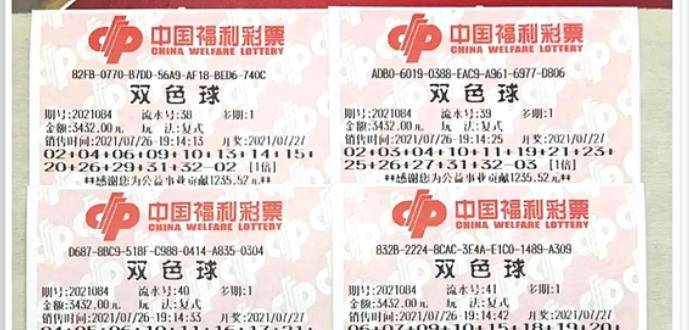 王中王084期指一生肖，解讀背后的秘密與生肖運(yùn)勢分析，王中王084期生肖揭秘，秘密解讀與運(yùn)勢展望