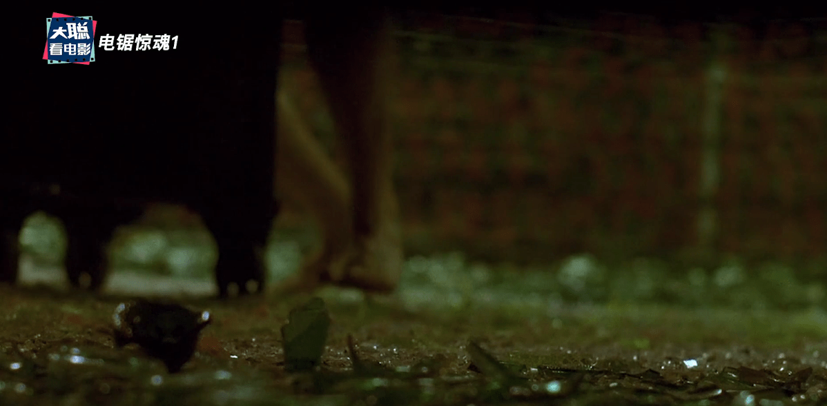 四肖選一肖王中王期期準(zhǔn)，揭秘精準(zhǔn)預(yù)測的秘密，揭秘四肖選一肖王精準(zhǔn)預(yù)測的秘密，期期準(zhǔn)的王中王預(yù)測法則！