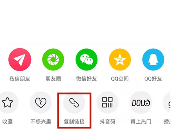 白小姐王中王中特一肖，神秘傳奇與SEO探索，神秘傳奇與SEO探索，白小姐王中王中特一肖的奧秘