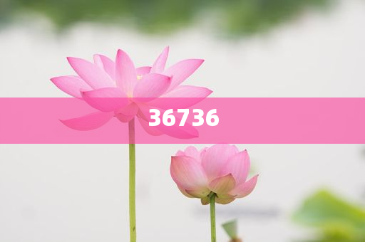 揭秘精準新傳秘籍，7777788888免費策略與SEO優(yōu)化，揭秘精準新傳秘籍，免費策略與SEO優(yōu)化指南