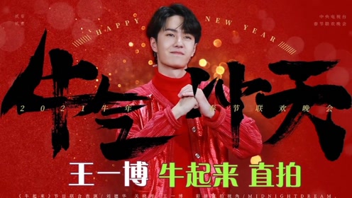 王中王一肖中特論壇鐵板，深度解析與SEO優(yōu)化策略，王中王一肖中特論壇鐵板深度解析與SEO優(yōu)化策略探討