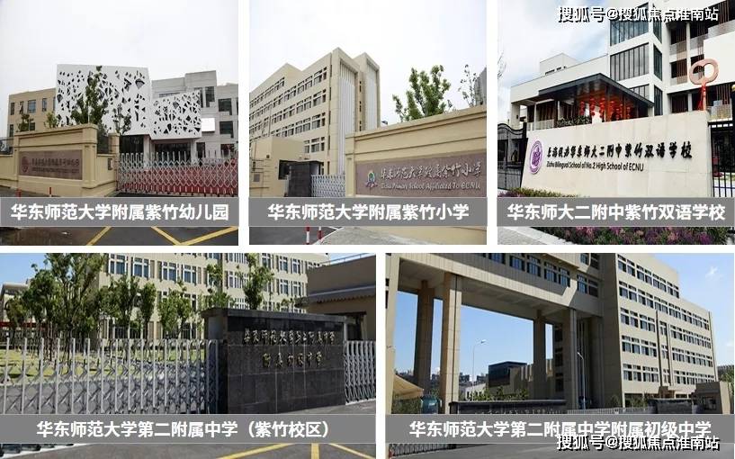 新奧門特資料49圖庫(kù)，深度解析與探索，新奧門特資料49圖庫(kù)，深度探索與解析