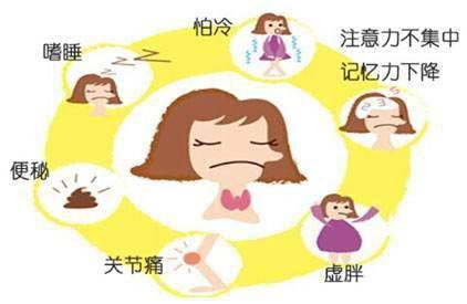 甲減的癥狀與危害，深入了解甲狀腺功能減退的影響，甲狀腺功能減退的影響及癥狀詳解，深入了解甲減的危害