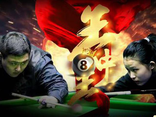 王中王一肖精準(zhǔn)資料大全，揭秘背后的秘密，王中王一肖資料揭秘，背后的秘密全解析