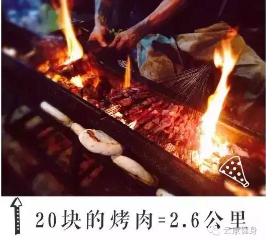 王中王313期指一生肖——揭秘生肖運勢與人生軌跡的獨特聯(lián)系，揭秘生肖運勢與人生軌跡的獨特聯(lián)系，王中王313期指一生肖詳解