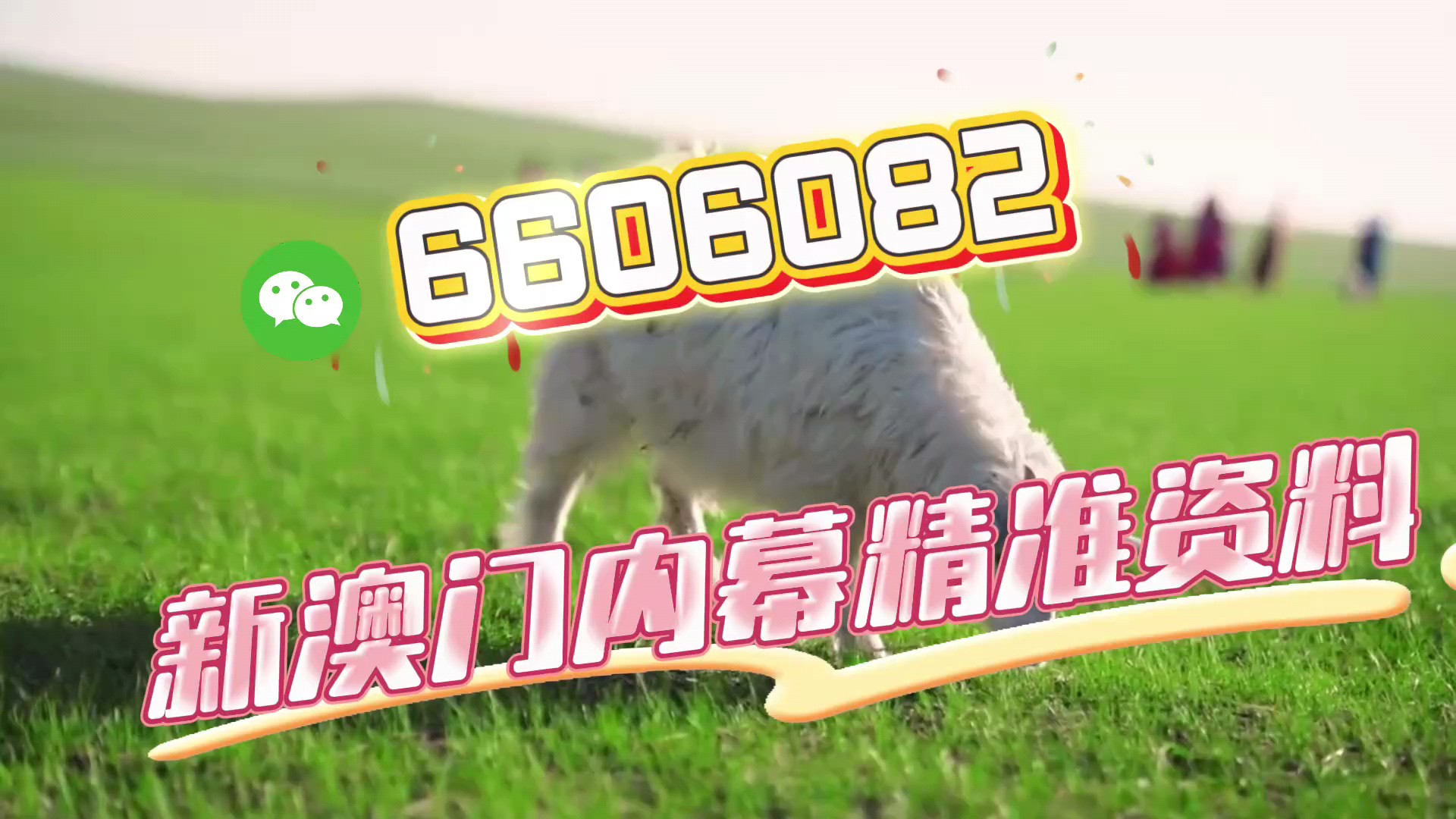 澳門王中王，揭秘一肖一特一中奧秘，澳門王中王揭秘生肖秘密，一肖一特一中奧秘探秘