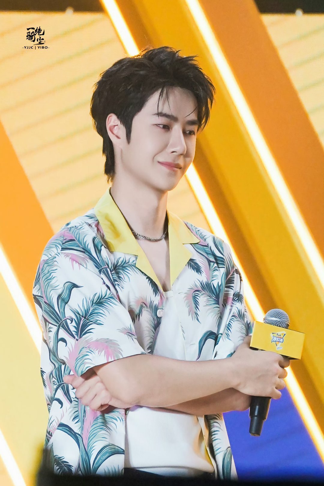 王中王一肖中特家婆，深度解讀背后的故事與奧秘，王中王一肖背后的故事與奧秘深度解讀