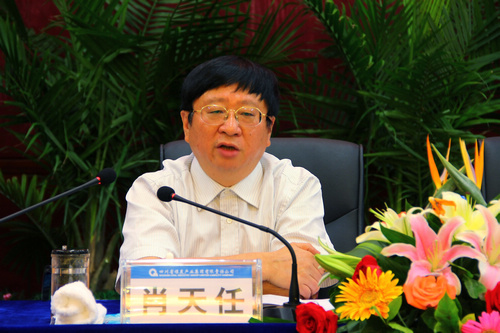 王中王資科一肖中持天，深度解析與SEO優(yōu)化策略，王中王資科一肖中持天深度解析與SEO優(yōu)化策略探討