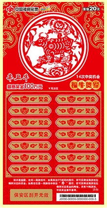 揭秘2020王中王平特一肖的神秘面紗，揭秘王中王平特一肖，神秘面紗下的真相