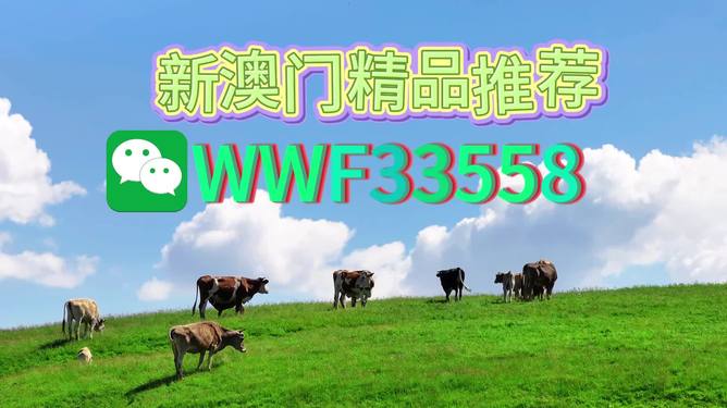 揭秘今晚9點(diǎn)30生肖運(yùn)勢(shì)，你的生肖運(yùn)勢(shì)如何？，揭秘今晚9點(diǎn)30生肖運(yùn)勢(shì)，你的生肖運(yùn)勢(shì)走向如何？