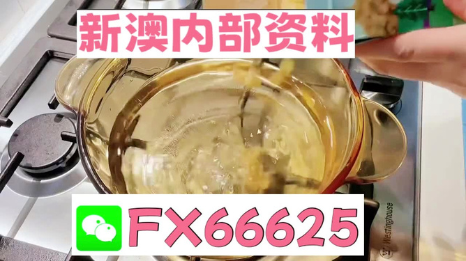 新澳一碼料，深度解析與SEO優(yōu)化策略，新澳一碼料深度解析與SEO優(yōu)化策略指南