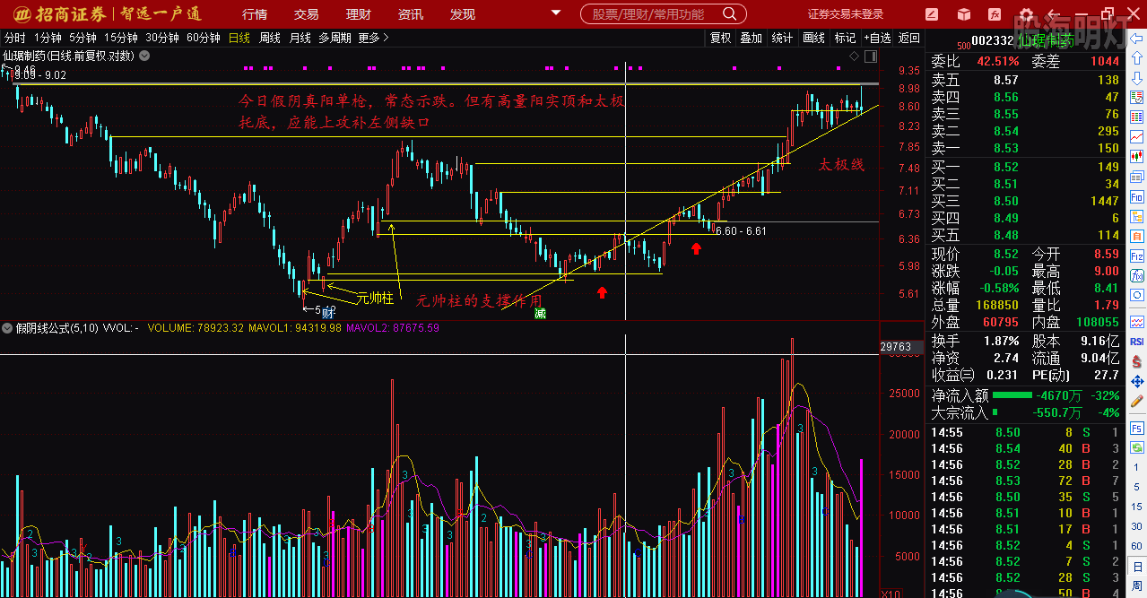 仙琚制藥股票（代碼，002332）深度解析，仙琚制藥股票深度解析（代碼，002332）