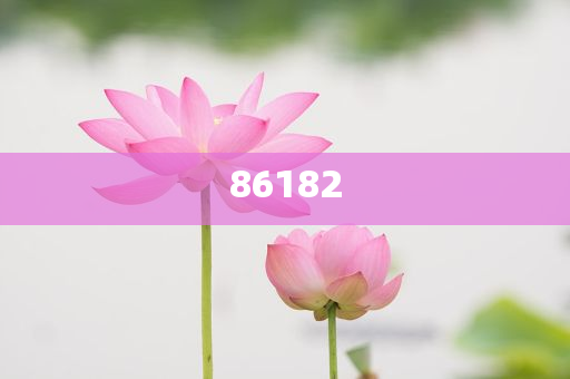 新奧精準(zhǔn)免費(fèi)提供港澳彩——揭秘彩票行業(yè)的秘密武器，揭秘新奧精準(zhǔn)免費(fèi)提供港澳彩的神秘面紗，彩票行業(yè)的秘密武器探究