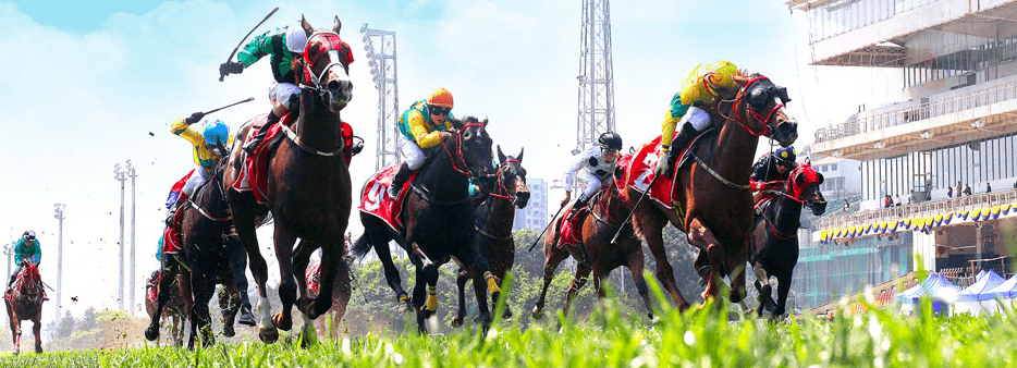 澳門賽馬會(huì)資料最準(zhǔn)一碼，深度解析與最新資訊，澳門賽馬會(huì)資料解析，最新一碼與深度資訊匯總