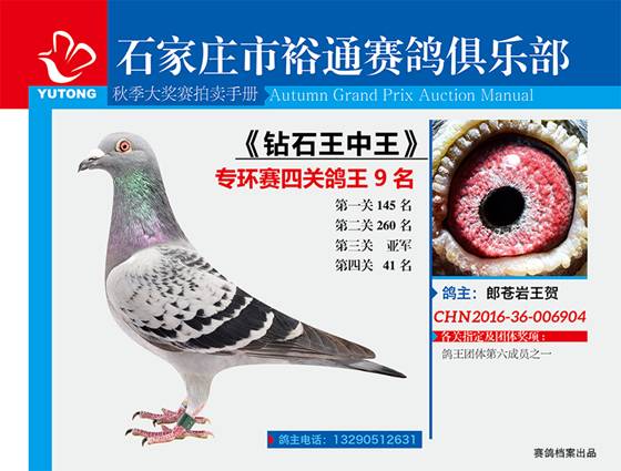 王中王一期一肖特中獎(jiǎng)，揭秘彩票背后的秘密與策略，揭秘彩票背后的秘密與策略，王中王一期一肖特中獎(jiǎng)解析