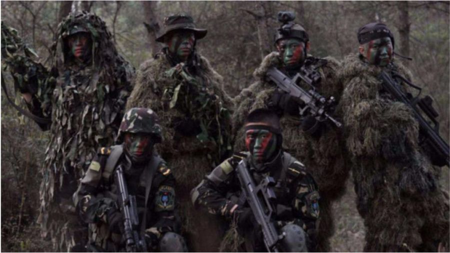 揭秘龍焱特種部隊(duì)曝光原因，榮耀與使命的雙重驅(qū)動(dòng)，揭秘龍焱特種部隊(duì)曝光原因，榮耀與使命的雙重驅(qū)動(dòng)下的力量展現(xiàn)