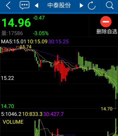 中泰股份股吧深度解析，投資潛力與未來發(fā)展展望，中泰股份股吧解析及投資潛力與未來發(fā)展展望