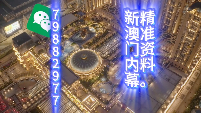 新澳門精準(zhǔn)三肖三碼中特，探索澳門博彩文化的獨特魅力，澳門博彩文化獨特魅力探索，精準(zhǔn)三肖三碼中特