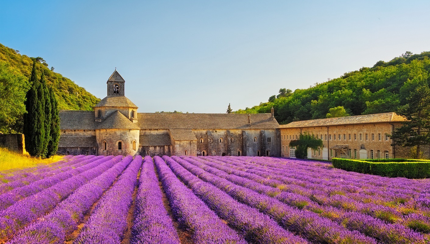 普羅旺斯薰衣草，夢(mèng)幻之地的無盡魅力與SEO優(yōu)化秘籍，普羅旺斯薰衣草，夢(mèng)幻勝地的魅力與SEO優(yōu)化攻略