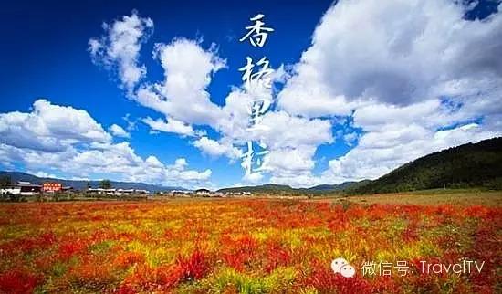 金秋十月，探尋最適合你的旅游目的地，金秋十月，探尋最佳旅游目的地之旅