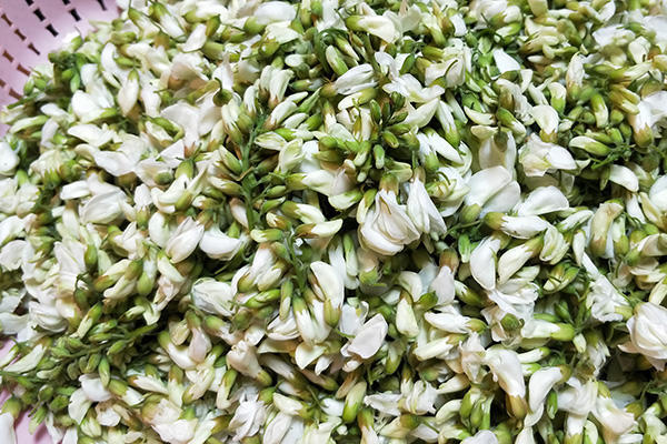 槐花的吃法與做法大全，槐花的吃法與烹飪指南大全