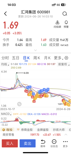 探索匯鴻集團(tuán)股吧的獨(dú)特魅力，深度解析600981股票的價(jià)值潛力，匯鴻集團(tuán)股吧深度探索，解析股票價(jià)值潛力與獨(dú)特魅力
