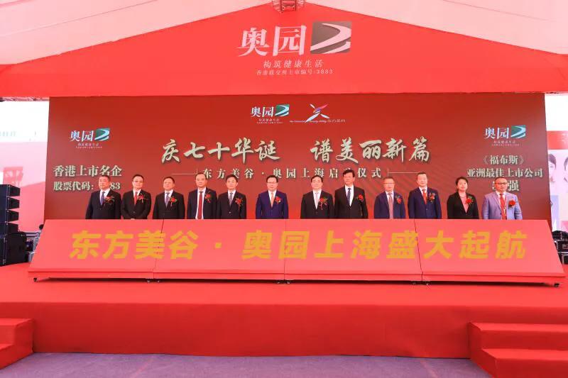 奧園美谷股票，投資潛力與前景展望，奧園美谷股票投資潛力與前景展望分析