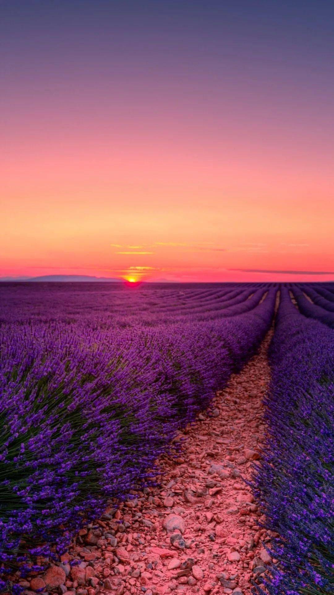 揭秘劉伯溫一肖六碼中特之謎，探尋背后的故事與真相，劉伯溫一肖六碼中特背后的故事與真相揭秘