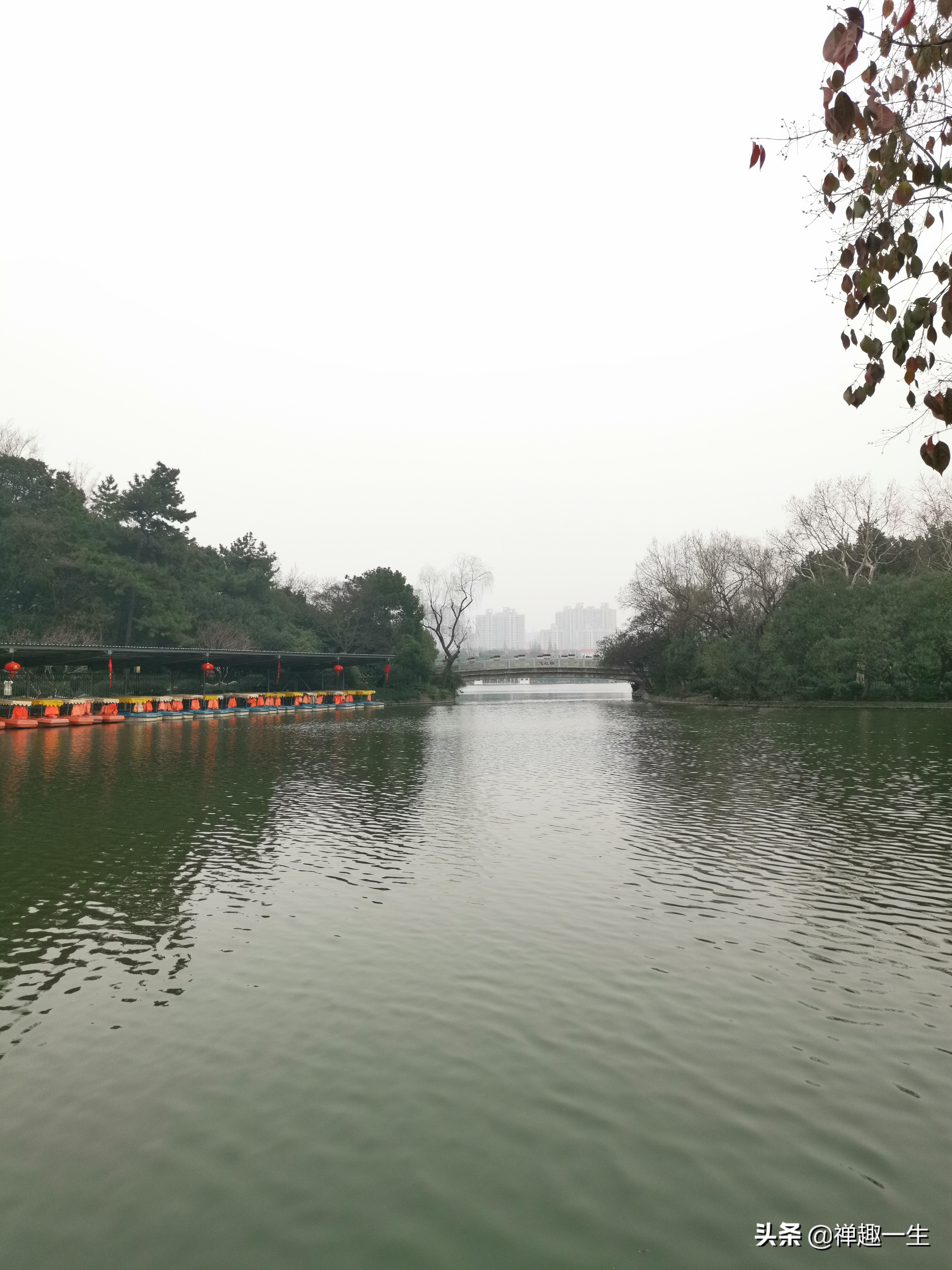 探索上海長風(fēng)公園海洋世界，門票信息及更多，上海長風(fēng)公園海洋世界探秘，門票信息與更多精彩解讀