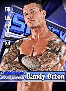 澳彩資料免費資料大全WWE，一網(wǎng)打盡所有信息，澳彩資料免費大全，WWE信息一網(wǎng)打盡