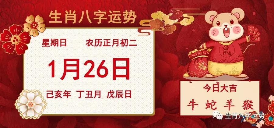 二肖二碼，深度解析與SEO優(yōu)化策略，二肖二碼深度解析與SEO優(yōu)化策略探討