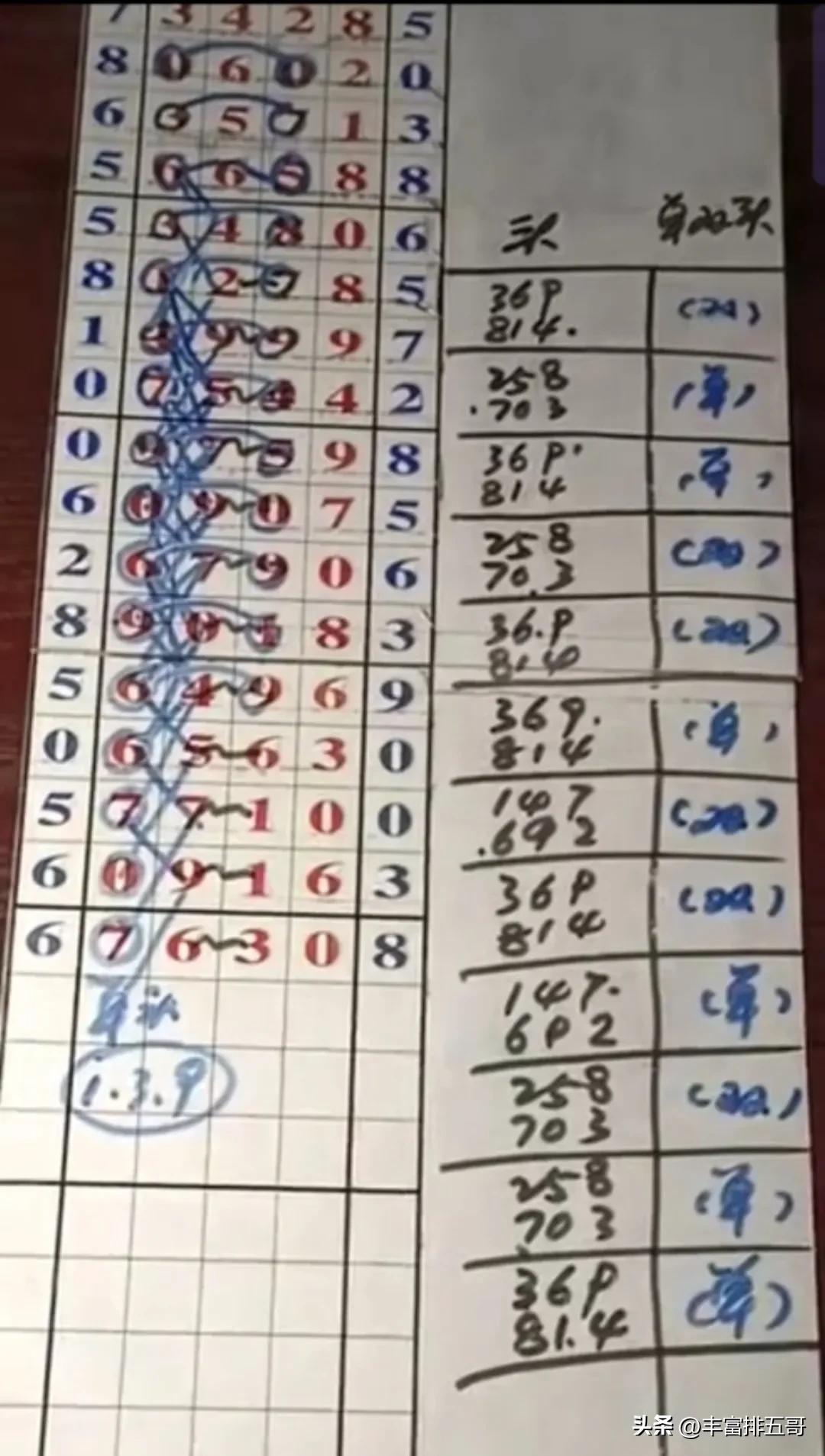 香港彩特碼單雙走勢圖，深度解析與SEO優(yōu)化策略，香港彩特碼單雙走勢圖深度解析及SEO優(yōu)化策略指南